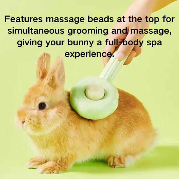 Copfeu Pet Comb Stainless Steel Massage Brush-6
